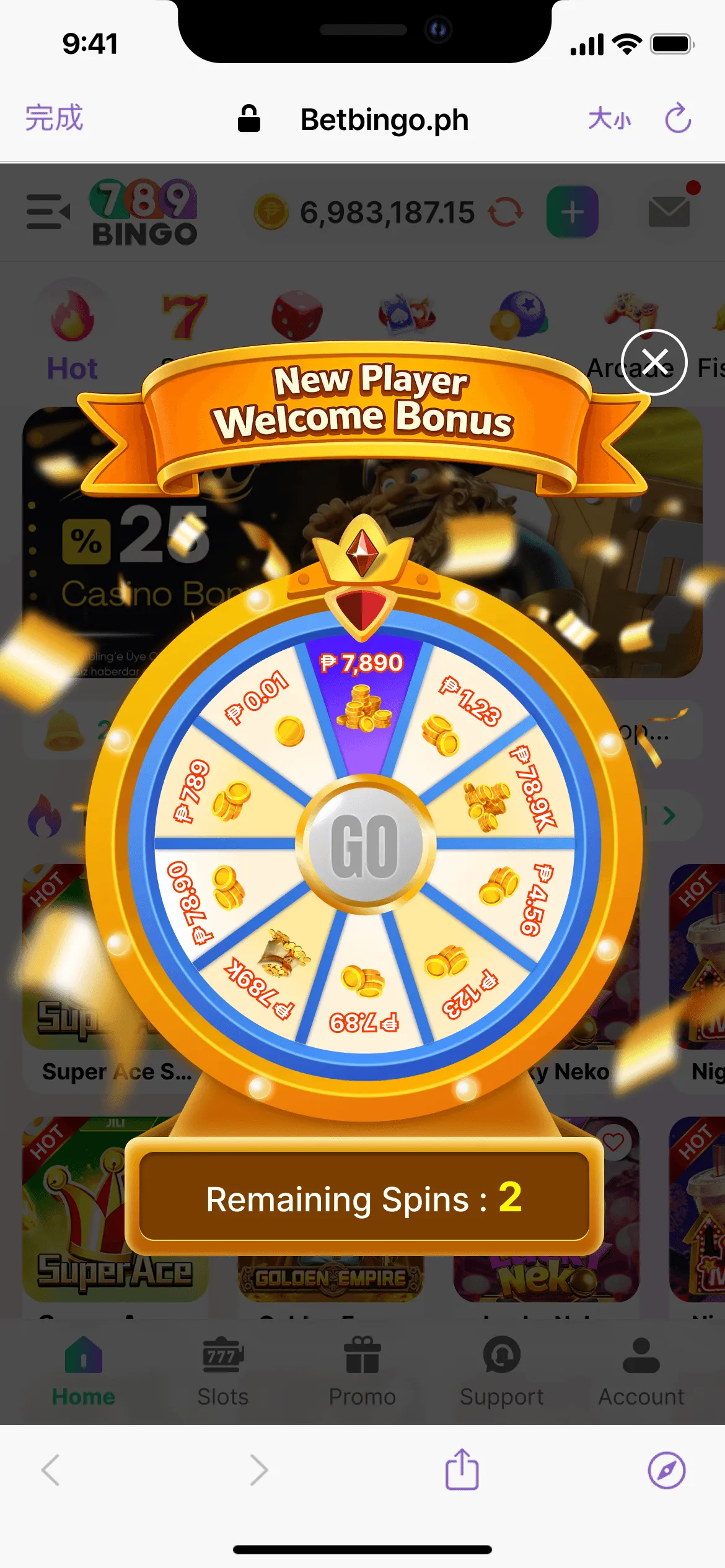 789 Bingo Screenshot